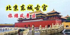 黄色17c视频中国北京-东城古宫旅游风景区